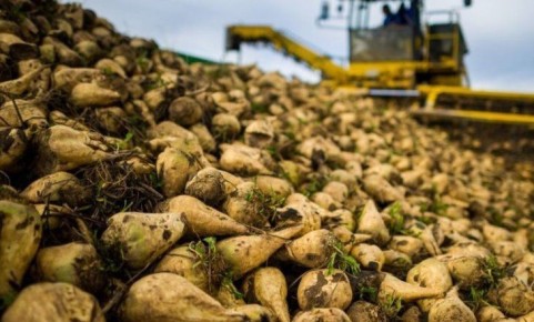 �� ���� �������� ������ ������� ����������� �������� � ����� ��������