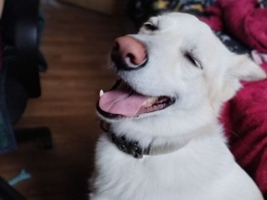 ����������� �������� ��� ������������: ������� � ������� ������� ��� �����