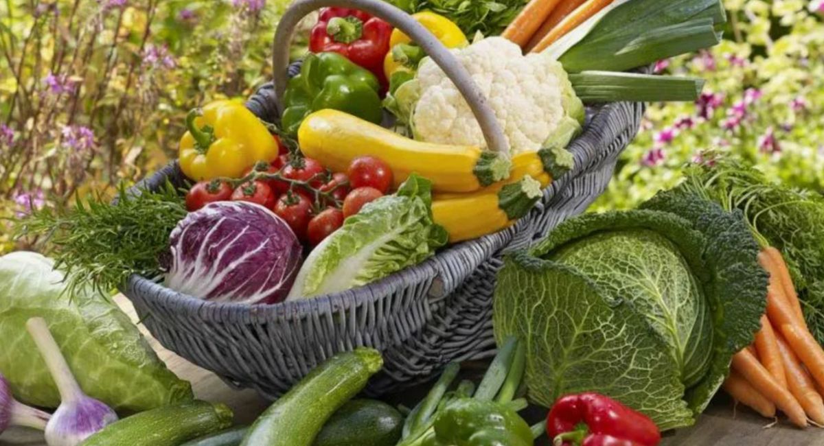 Как подготовить органический сад к зиме: шаги к здоровью почвы весной