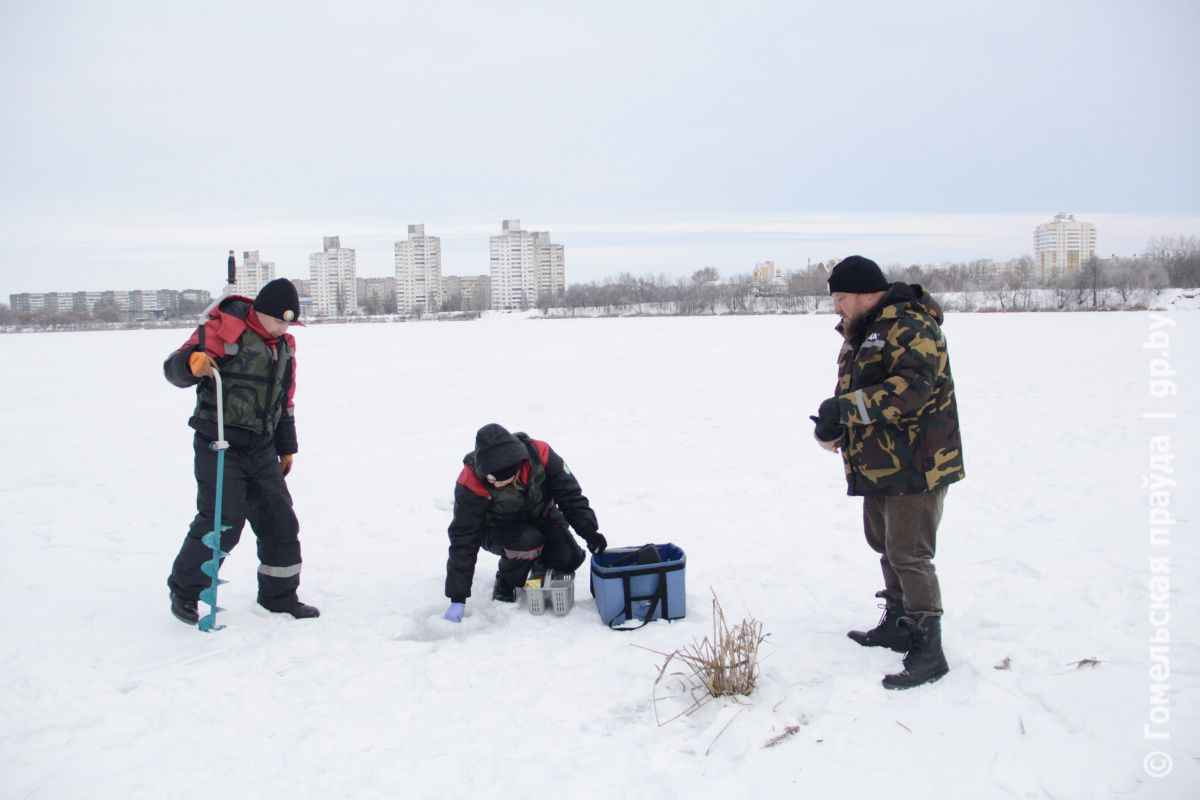 ������� � ������ ������������ ��� �������� ��� � ������