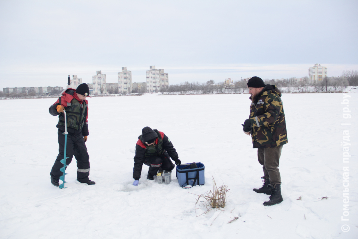 Экологи и рыбаки объединились для спасения рыб в морозы