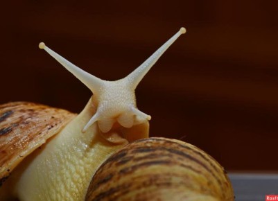 ����������� ������� �������� ��� �� ������ � ������� ��� �����