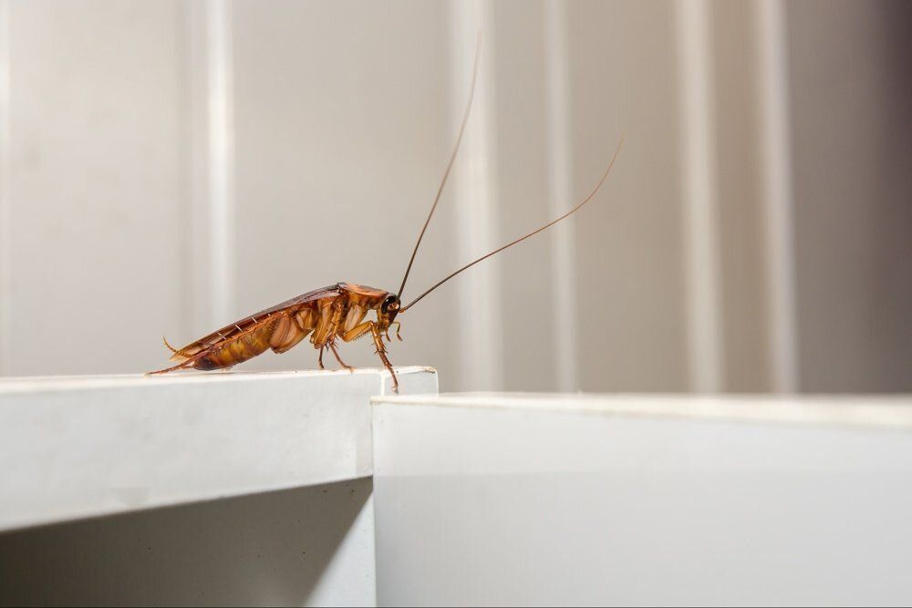 �������� � ����: ��� �� ����� �� ������� � 2025 ����?