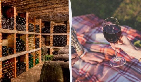 Как долго можно хранить открытое вино: советы эксперта по сортам