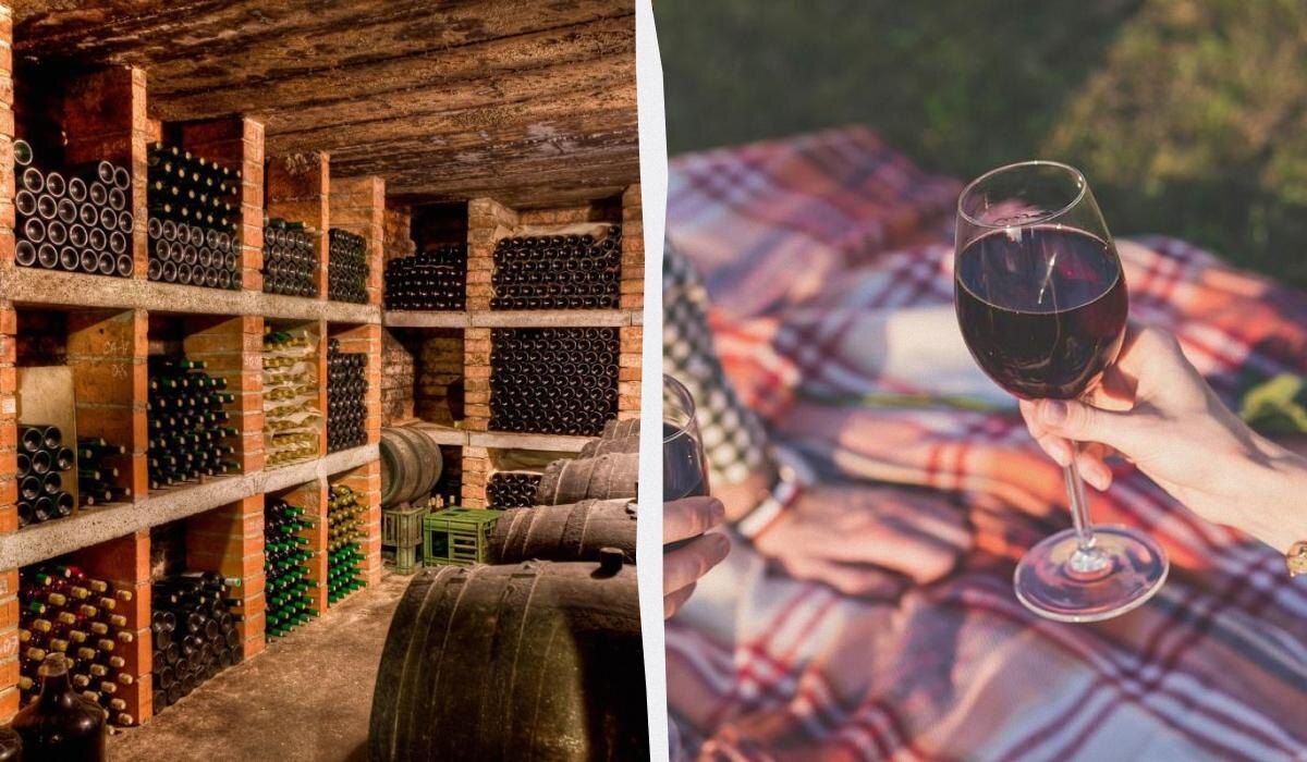 Как долго можно хранить открытое вино: советы эксперта по сортам