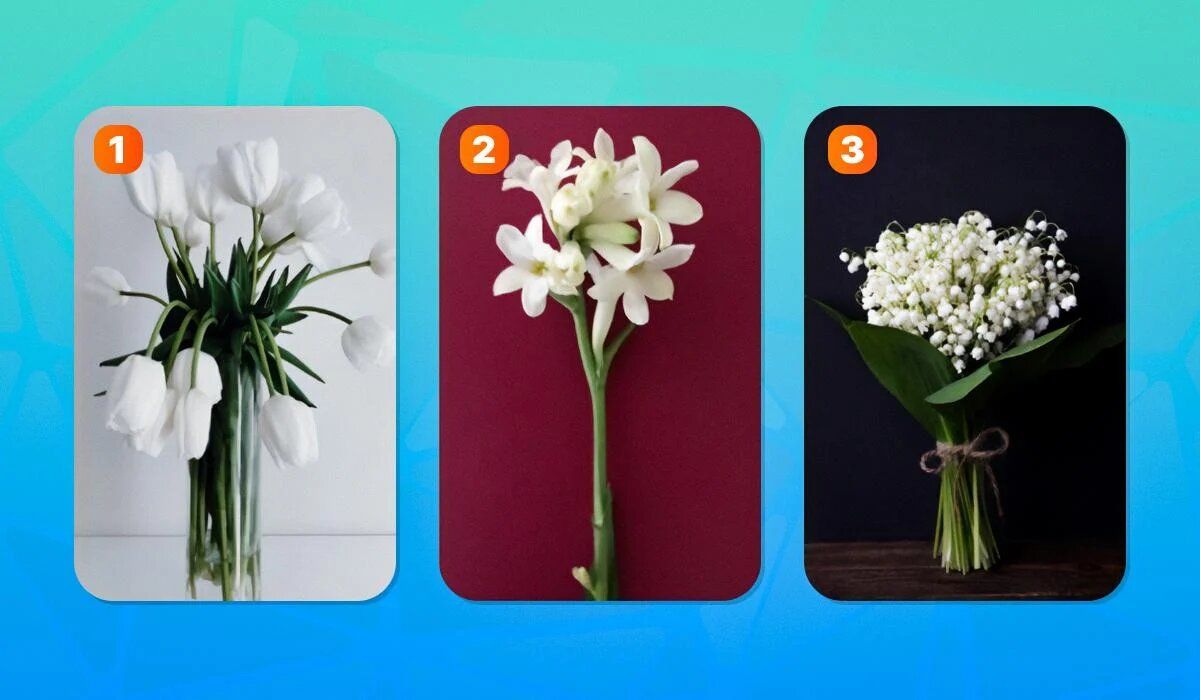 ����� ��� �������� ��: ����������� ��� ����������? ������� � ������� ������ �����