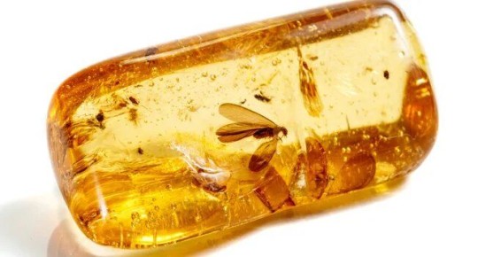 Консерванты: друзья или враги на ваших полках?