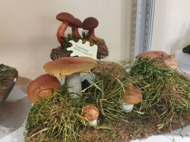 Нижегородцы приглашаются на уникальную грибную выставку в музее