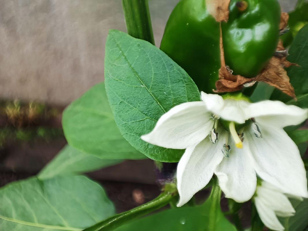 ���������������: ��� ��������� ������������� ����� � ���� ��� ��������� ������