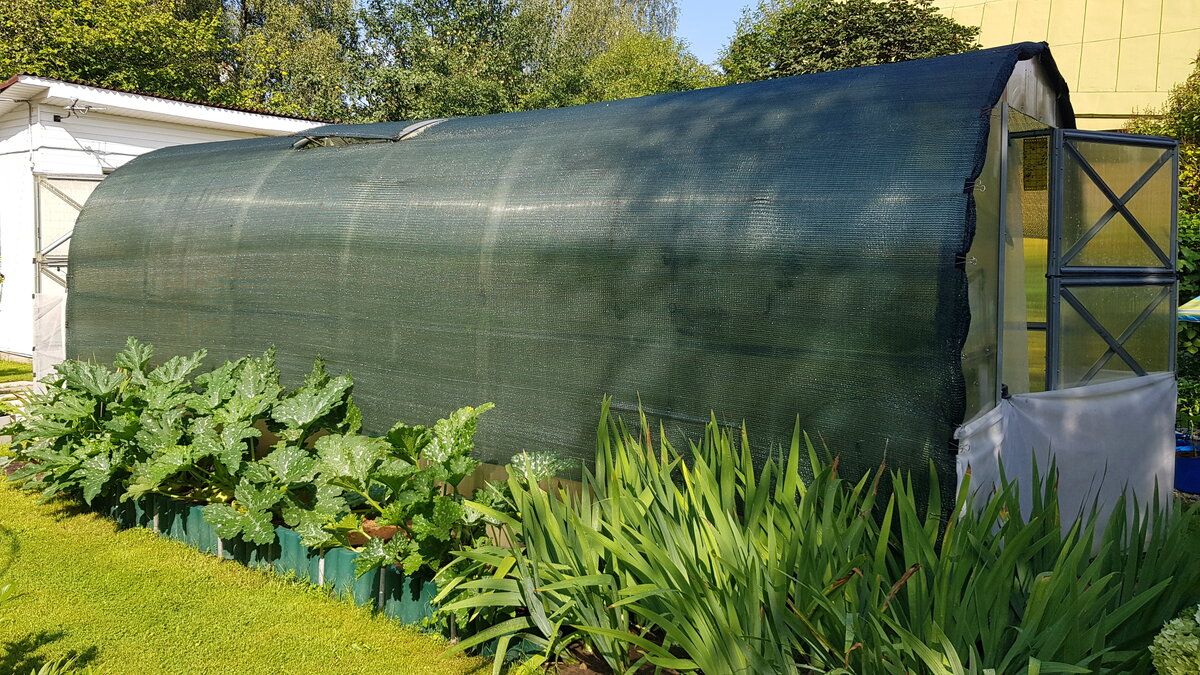 ��� ���������� ��������� ��������� �������: ����������� ������