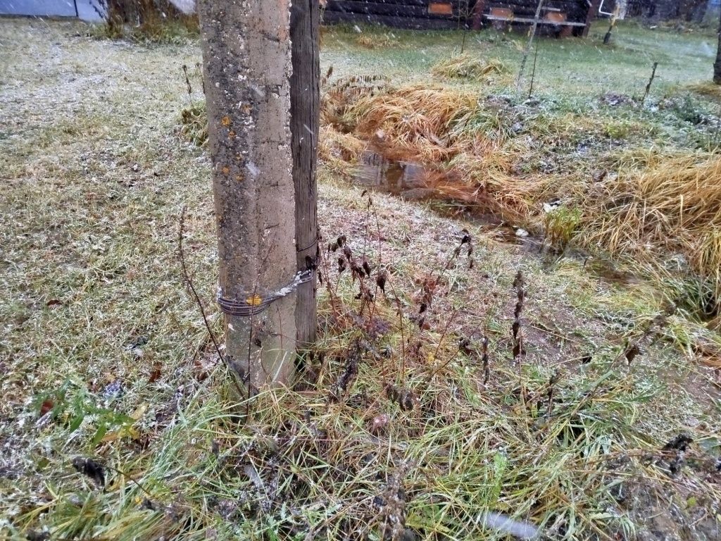 ����������� �������� ����� �� ����� �������: ���������� ���� ��� ������