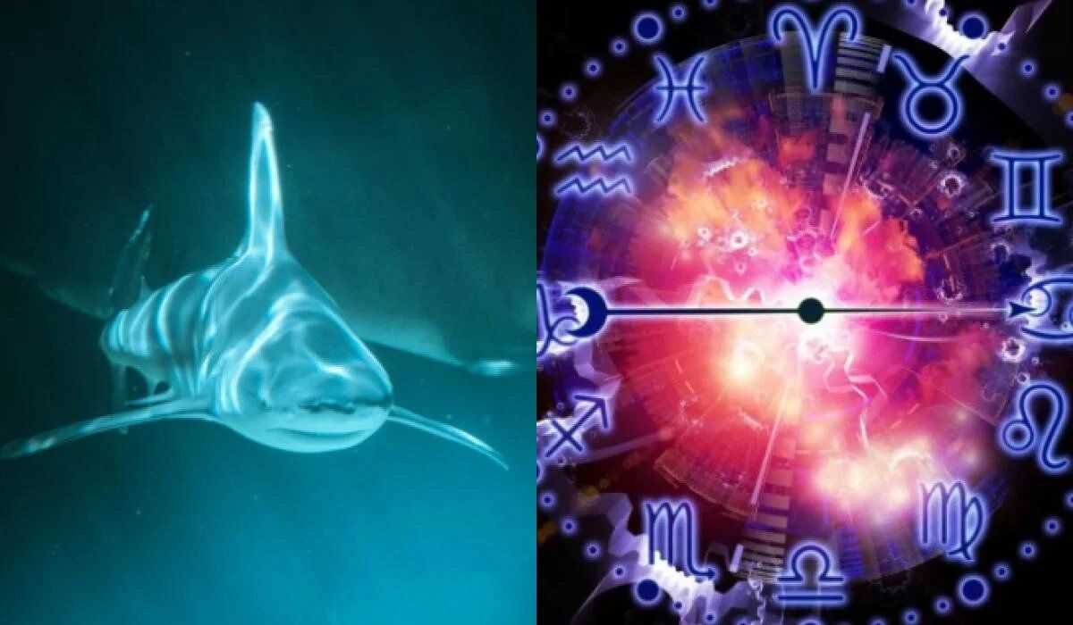 ������ � �����: �������� ���� ������� ��������