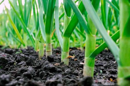 ��� ���������� ������� ��������� ������� ��� �����