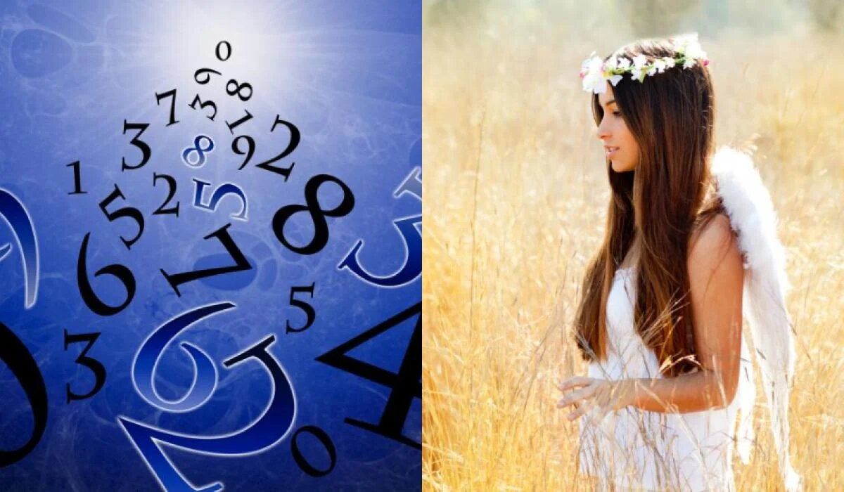 ����� ������� �� �������: �������, ��� ��� �������� ��� ���