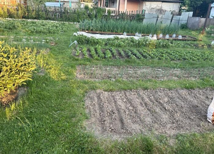 ��� ����� ������� � �������: ������� ������ � �����