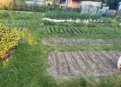 Что важно посеять в октябре: готовим огород к весне