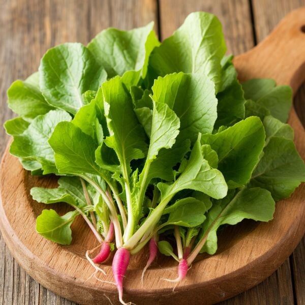 Выращивание редиса на подоконнике зимой: секреты и преимущества