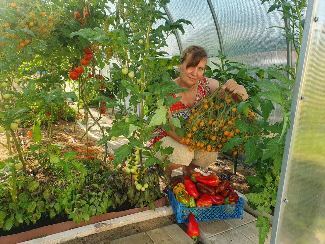 ����������� ����� ��������� ������� � �������