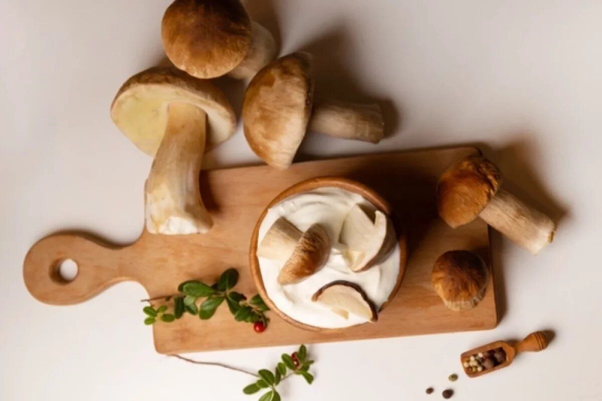 ��� ���������� ����� ����� � ��������� �� �������� ������