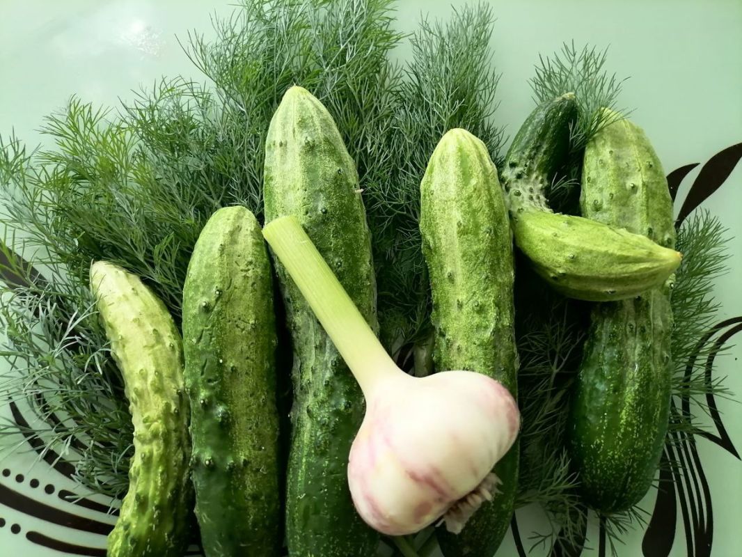 ��� �����, ������ � ������ �������� ����� � ����: ������� � ������� �������