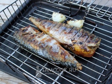 ���� �� �������: ������ ��� �����, ��� ����?