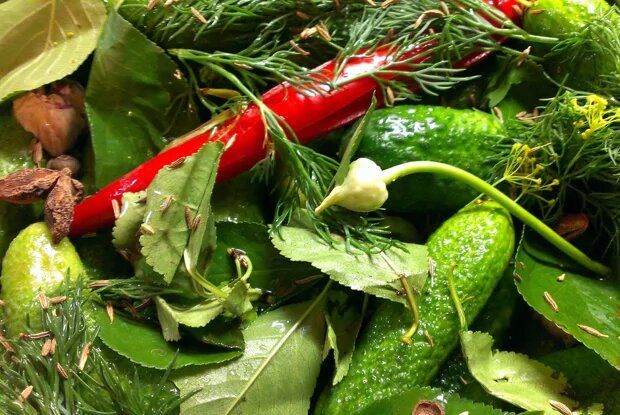 ������������� ������ ����������� ������� �� ������ �����