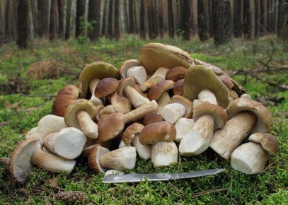 ����� � ���������: ������� � ��� �������������� �������