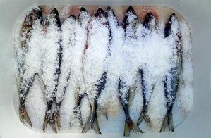 Секреты домашней засолки язя: Рецепты и полезные советы