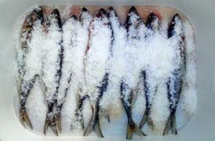 ������� �������� ������� ���: ������� � �������� ������