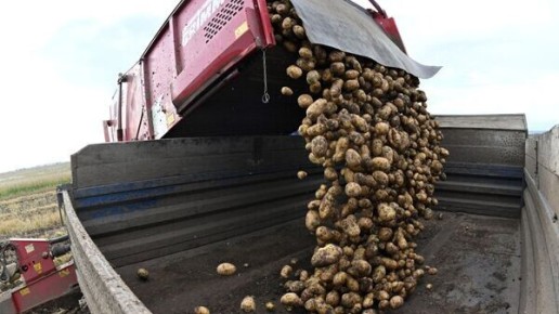 ������ ��������� � �������� �������� 590 ����� ���� � �������� �������