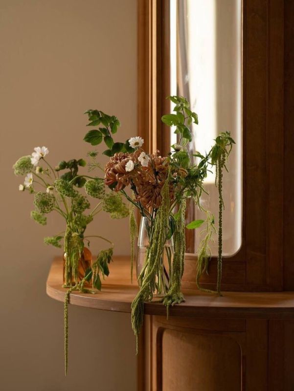 ���������� ������ ����: Masa Madre ��������� ������ �� ����