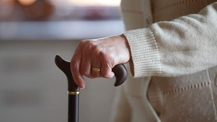 Углеводы и деменция: как питание влияет на здоровье мозга