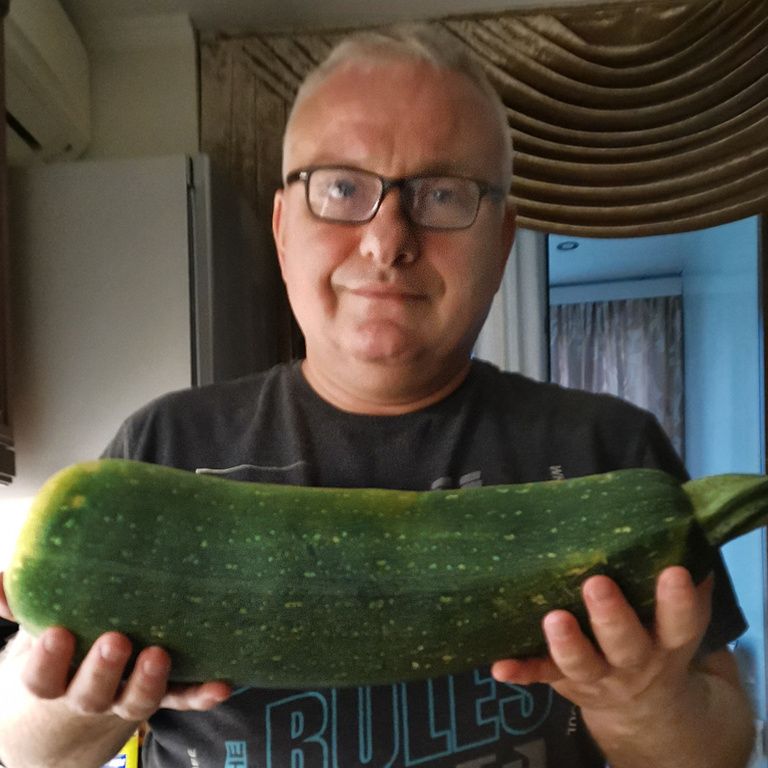 Кабачковый сезон: идеи, как насладиться богатым урожаем