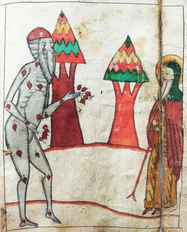 ����� ����: ��� ������ �������� ������� � �������