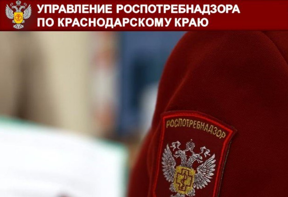 В Кавказском районе под угрозой поставщик школьного питания за нарушение норм
