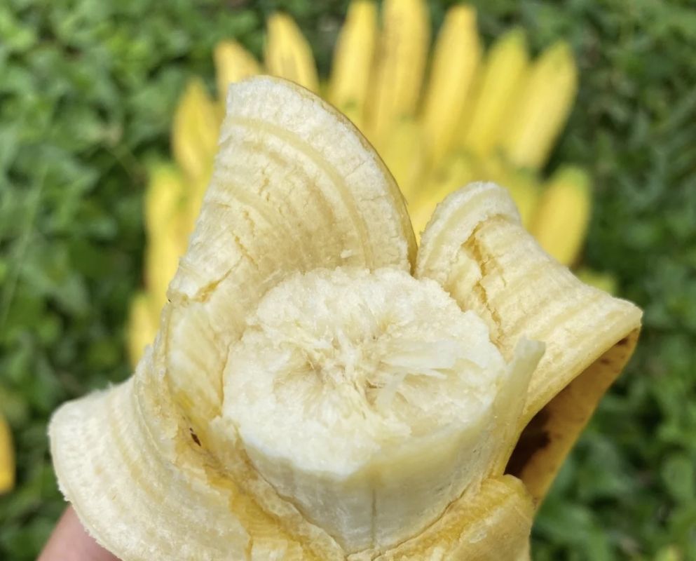 ������������ ��������, ������� ������ ���: ��� �� ��������