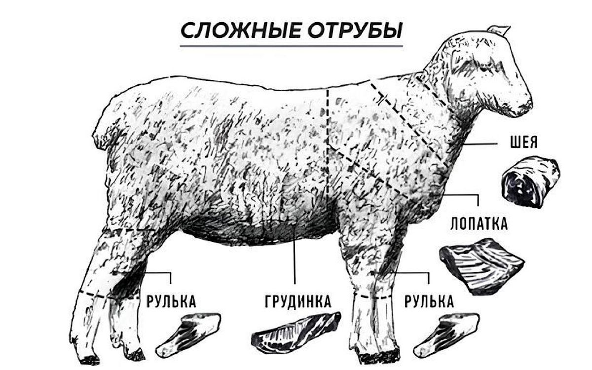 ��� ������� ��������� ��������: ������� � ������