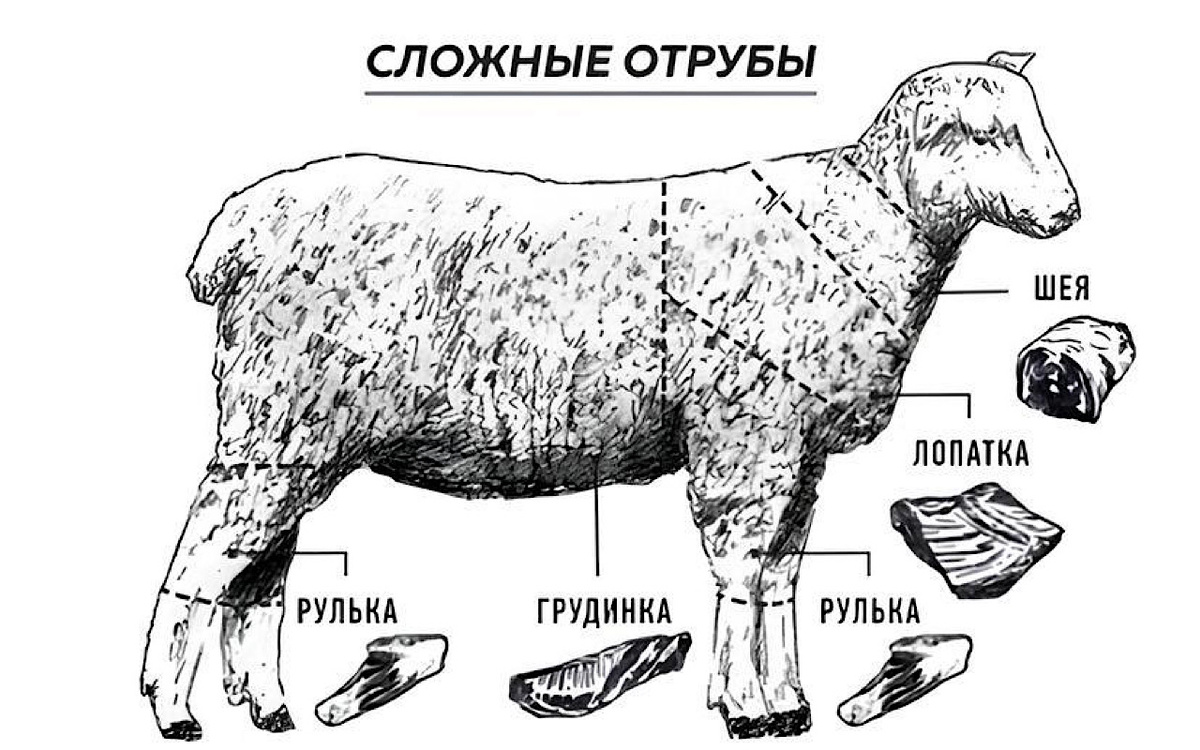 Как выбрать идеальную баранину: секреты и советы