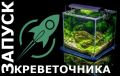 Как запустить идеальный креветочник: советы и рекомендации