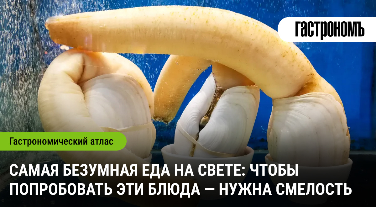 Экзотическая кухня: самые смелые блюда для настоящих гурманов