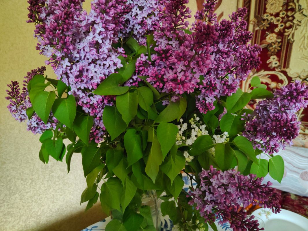 ��� �������� 9 ���: ��������� ��������� ���� ��� ���������