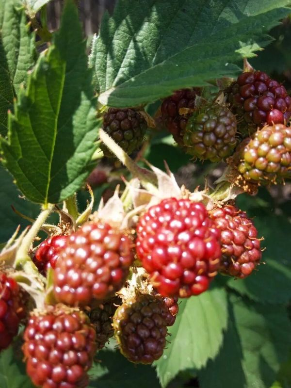 �������: �������� �������� � ������� �������