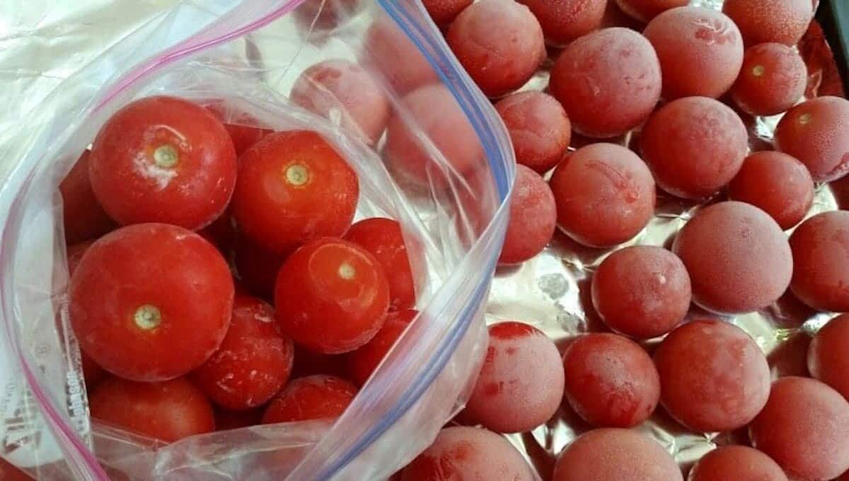 ��� ��������� ���� ����: ������� ��������� ���������