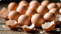 Яичная скорлупа: в чем заключаются её полезные свойства