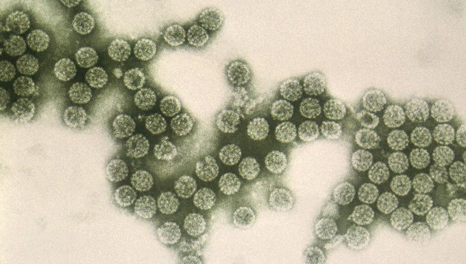 ������ �������: ������� ����������� ��� �������� ���?