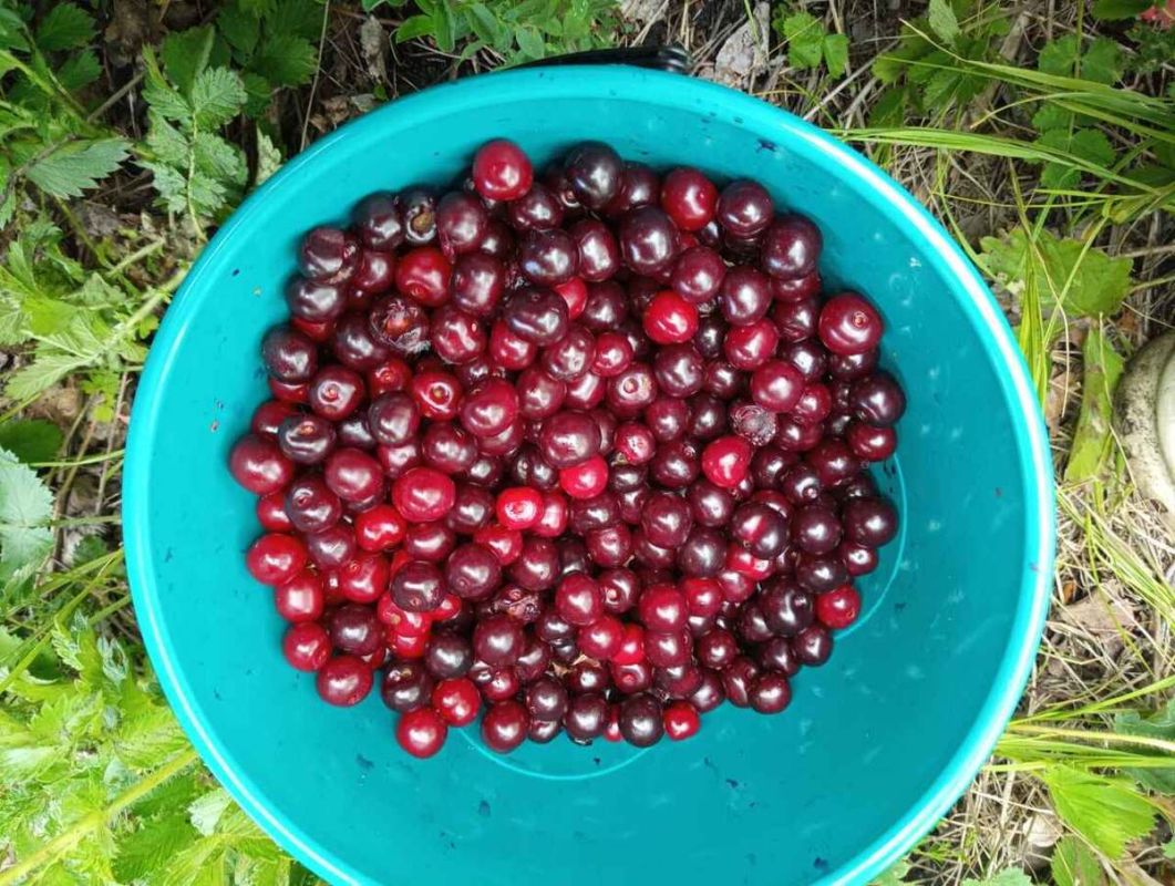 ������������ ������� ��������� �� ����� �� ����