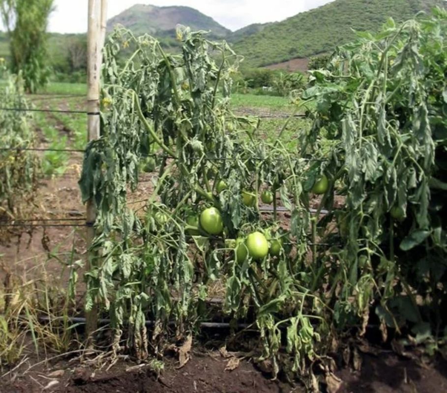 � ����� ������� ����� ������? ������� � ����������� ��������