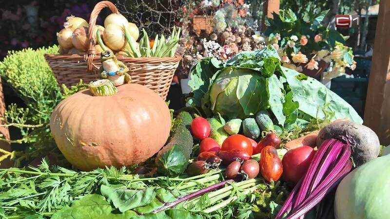 ������ ��������� ���������� ������ � ����� ��� ��������� �������