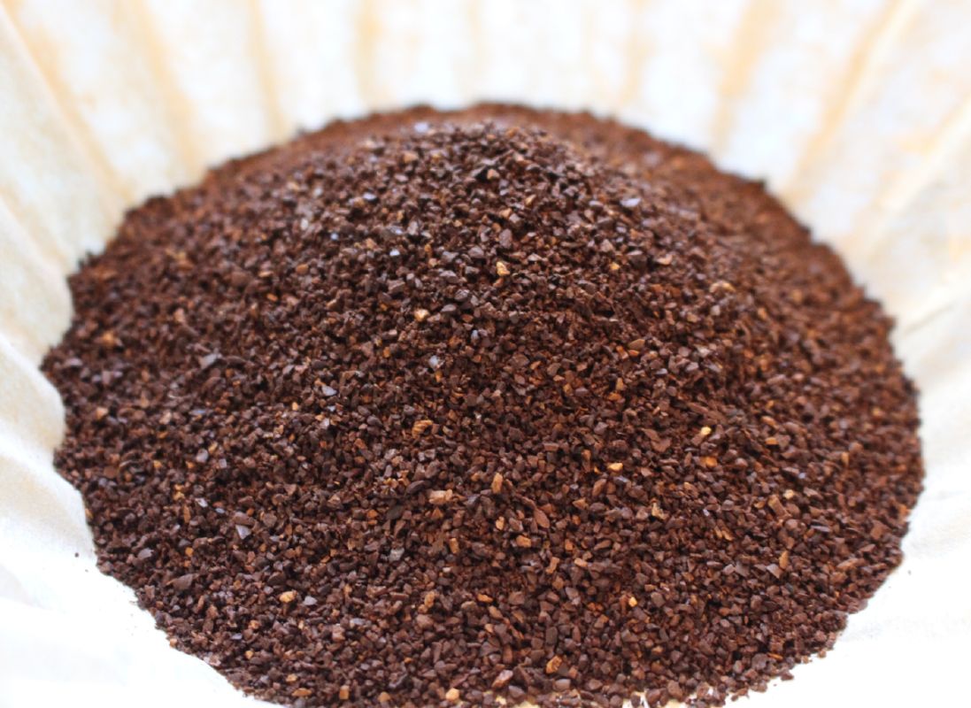 �������� ������ �������� ����