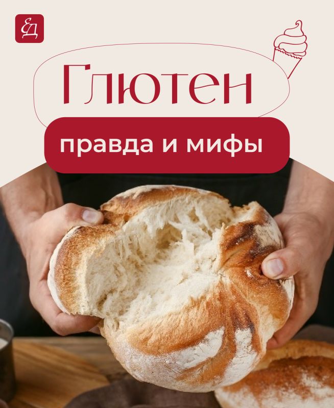 ������: ���� � ����������